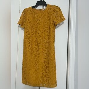 LOFT Mustard Lace Mini Dress